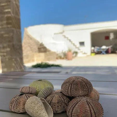 Salento-tra Gallipoli E Leuca A 50m Dal Mare Il Trullo Di Alino *